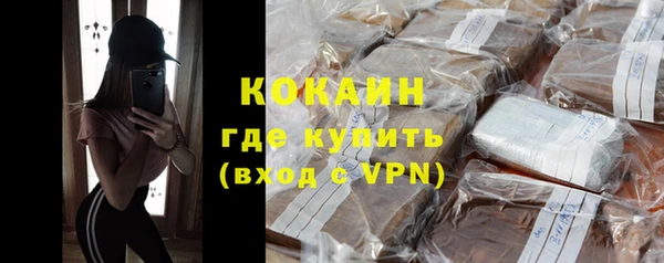 крисы Новозыбков