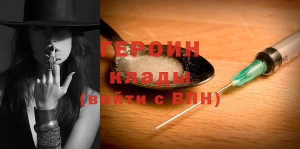 индика Новодвинск