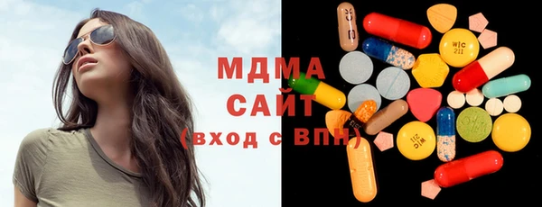 индика Новодвинск