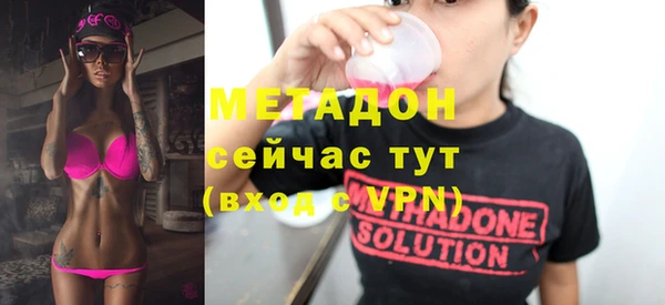 индика Новодвинск