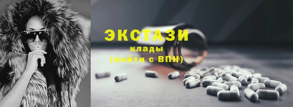 индика Новодвинск