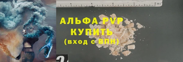 крисы Новозыбков