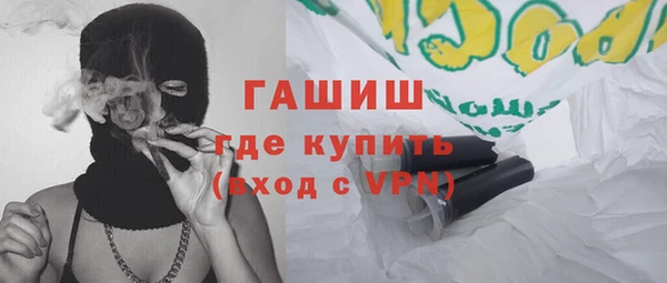индика Новодвинск
