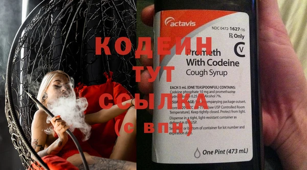 крисы Новозыбков