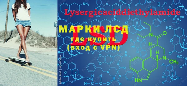 крисы Новозыбков