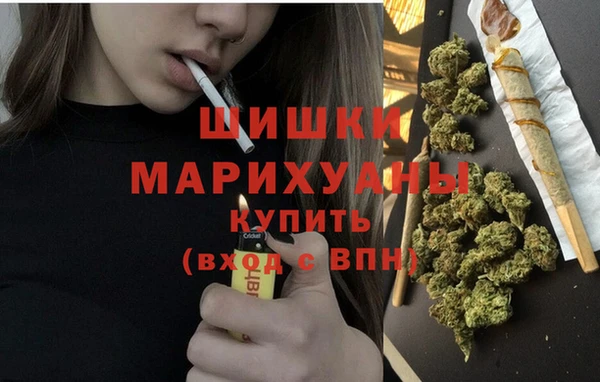индика Новодвинск