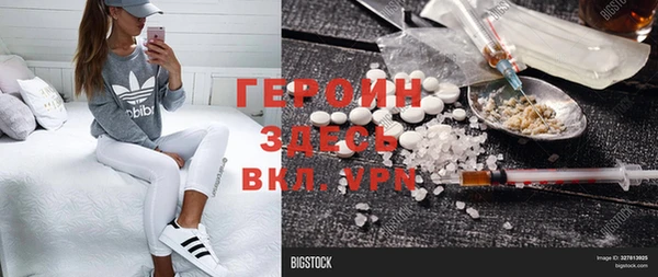индика Новодвинск
