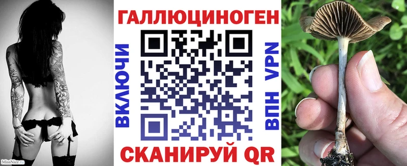 Галлюциногенные грибы GOLDEN TEACHER  наркотики  Отрадный 